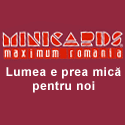 Minicards