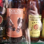 doi cai frumosi2 doi cai frumosi2