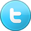 twitter icon