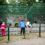 La grădina zoologică din Hunedoara