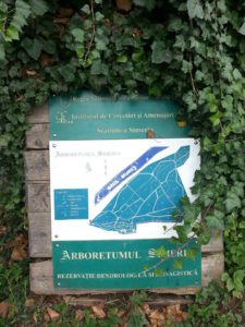 arboretumul simeria - parcul dendrologic