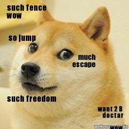 such freedom much escape