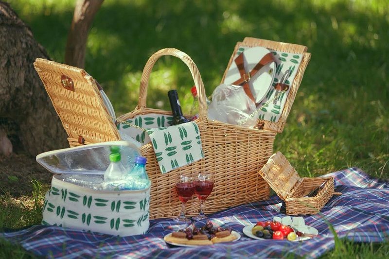 picnic elegant 1